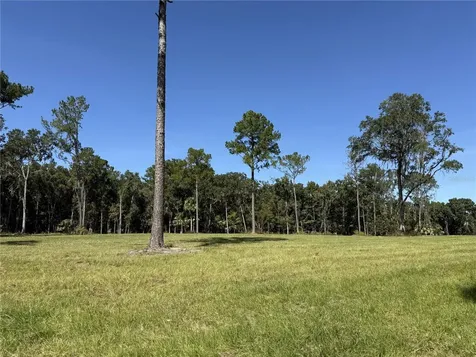 Drive #3 (10ac) NW 193rd Street Micanopy FL 32667