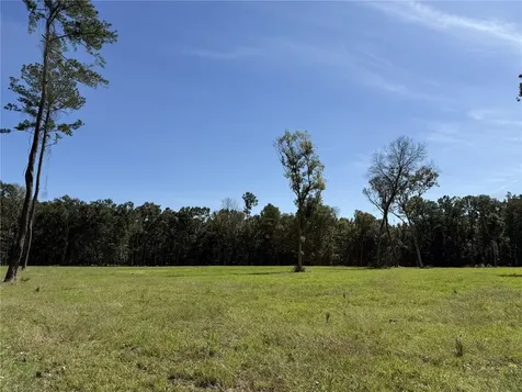 Drive #3 (10ac) NW 193rd Street Micanopy FL 32667