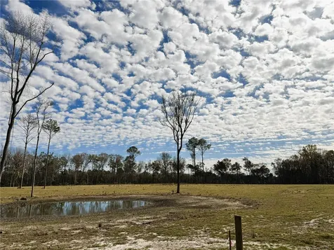 Drive #3 (10ac) NW 193rd Street Micanopy FL 32667