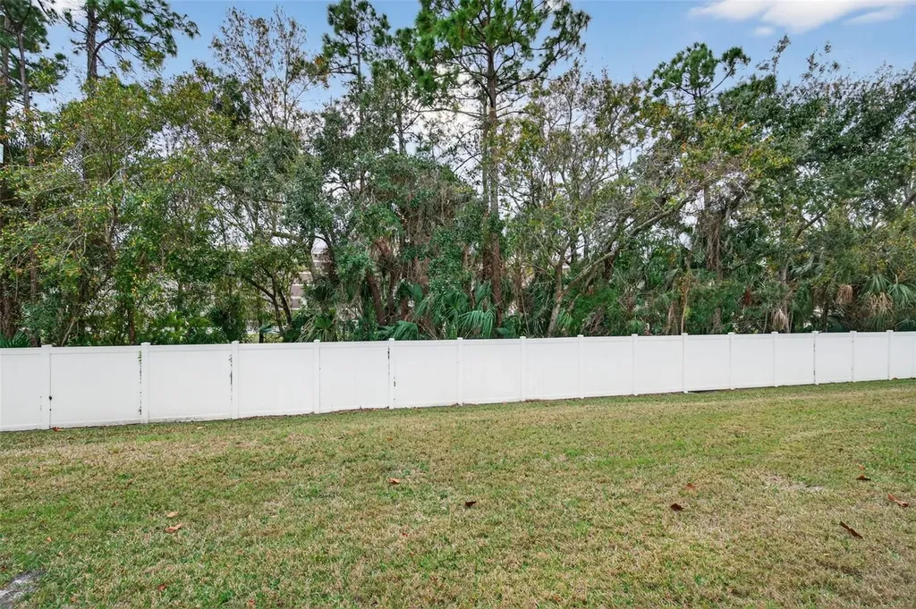 11622 Declaration Drive Tampa FL 33635
