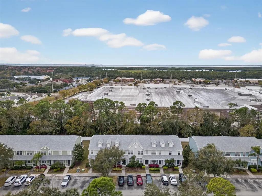 11622 Declaration Drive Tampa FL 33635