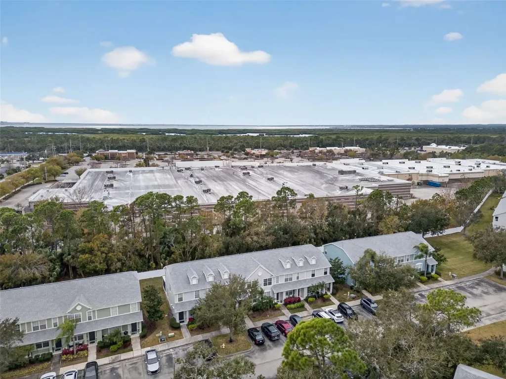 11622 Declaration Drive Tampa FL 33635