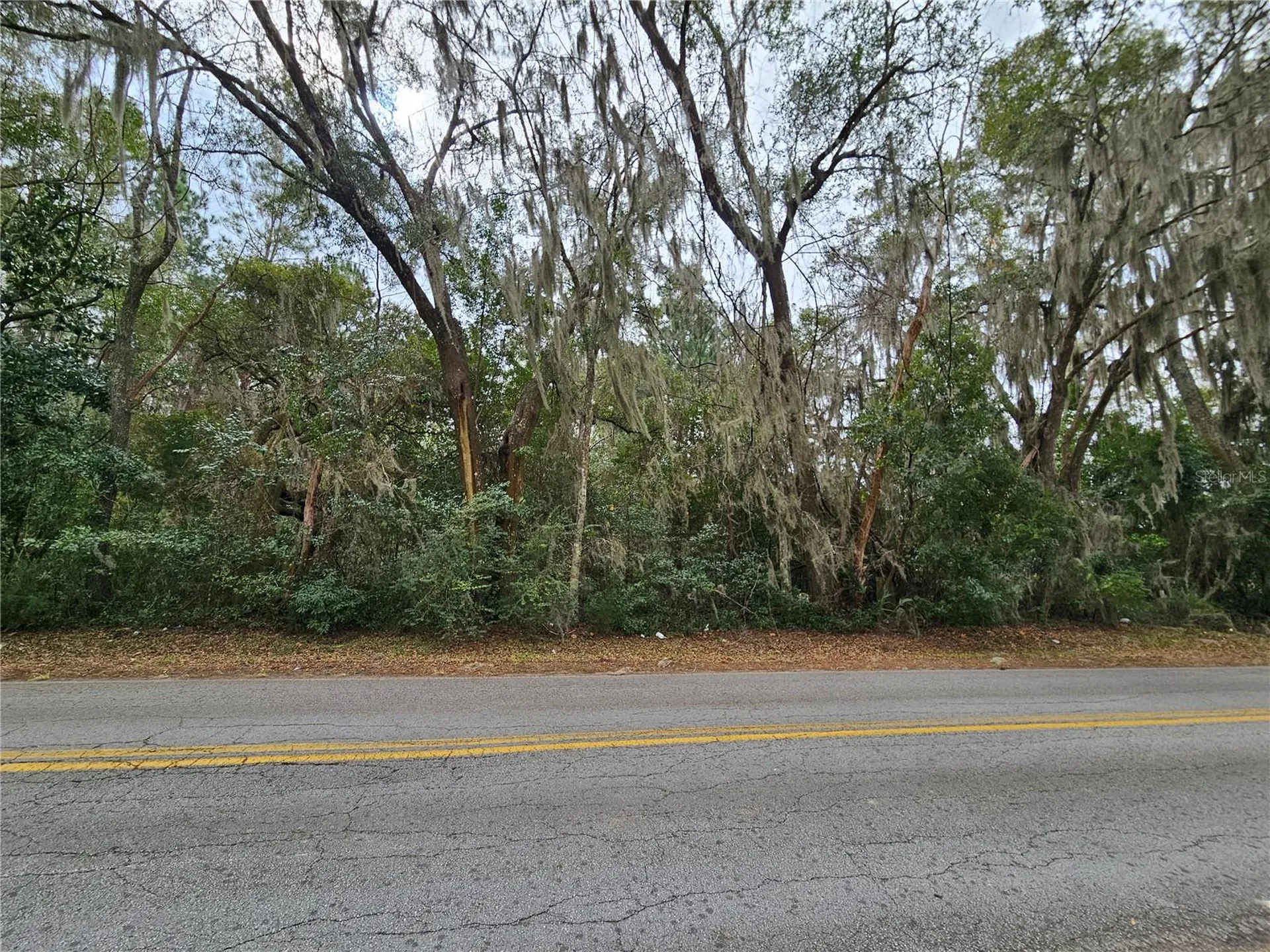 Tbd SW 6th Avenue Williston FL 32696
