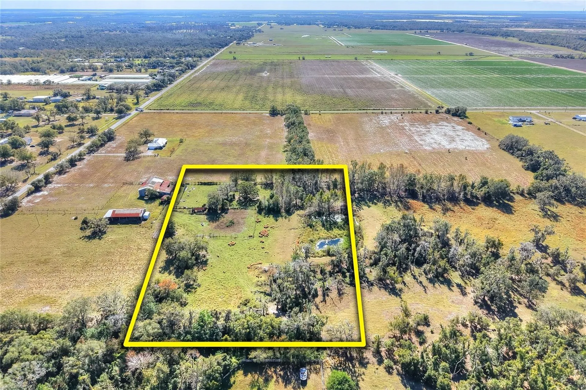 Colding Loop Wimauma FL 33598