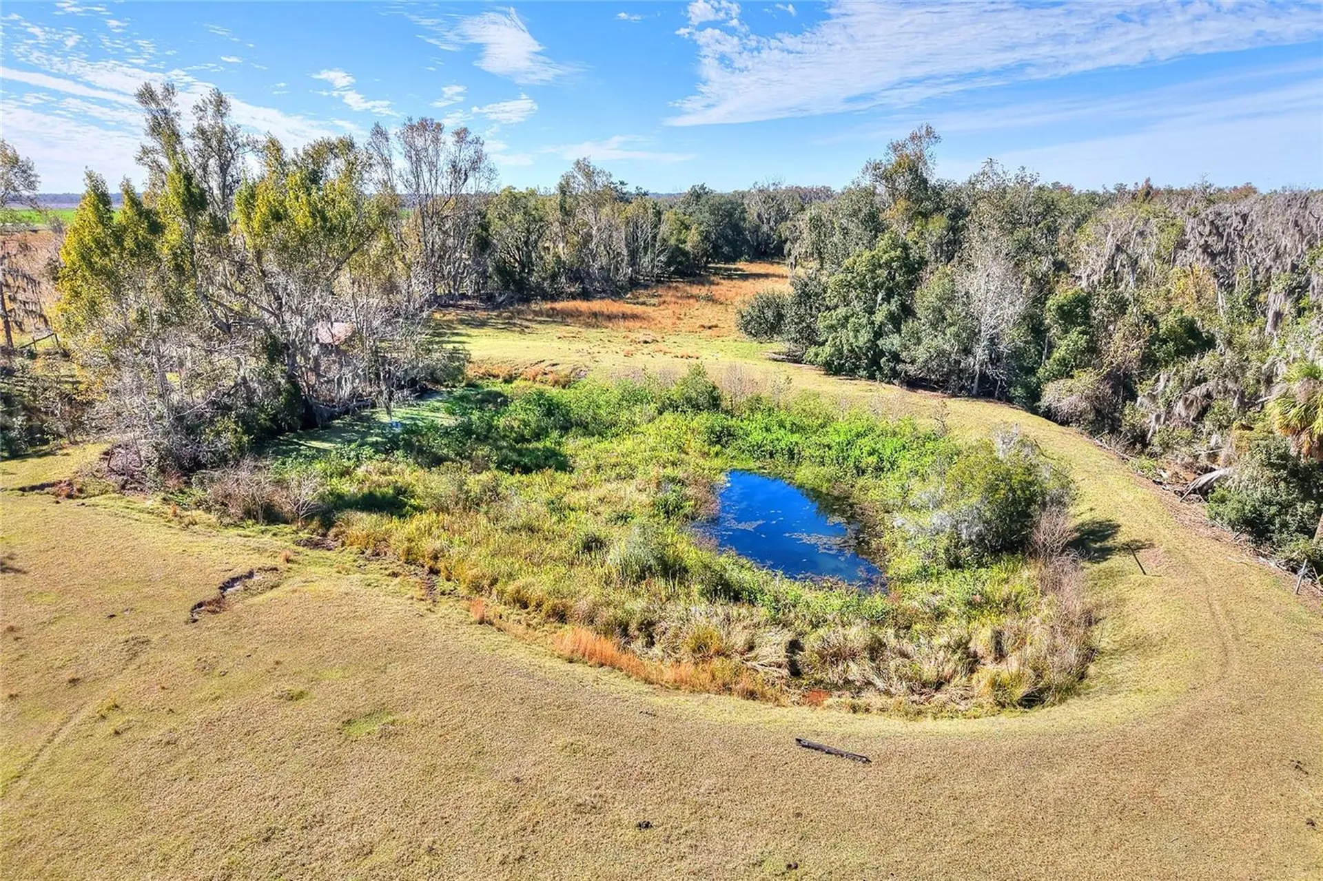 Colding Loop Wimauma FL 33598