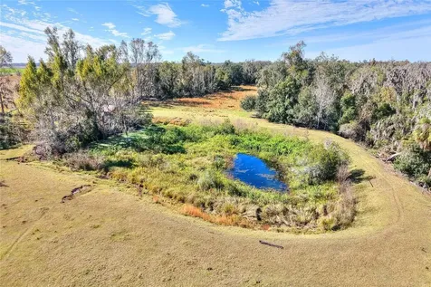 Colding Loop Wimauma FL 33598