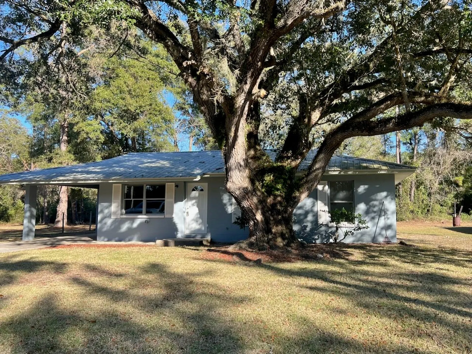 3839 NE 210th Court Williston FL 32696