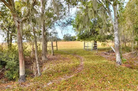 Colding Loop Wimauma FL 33598