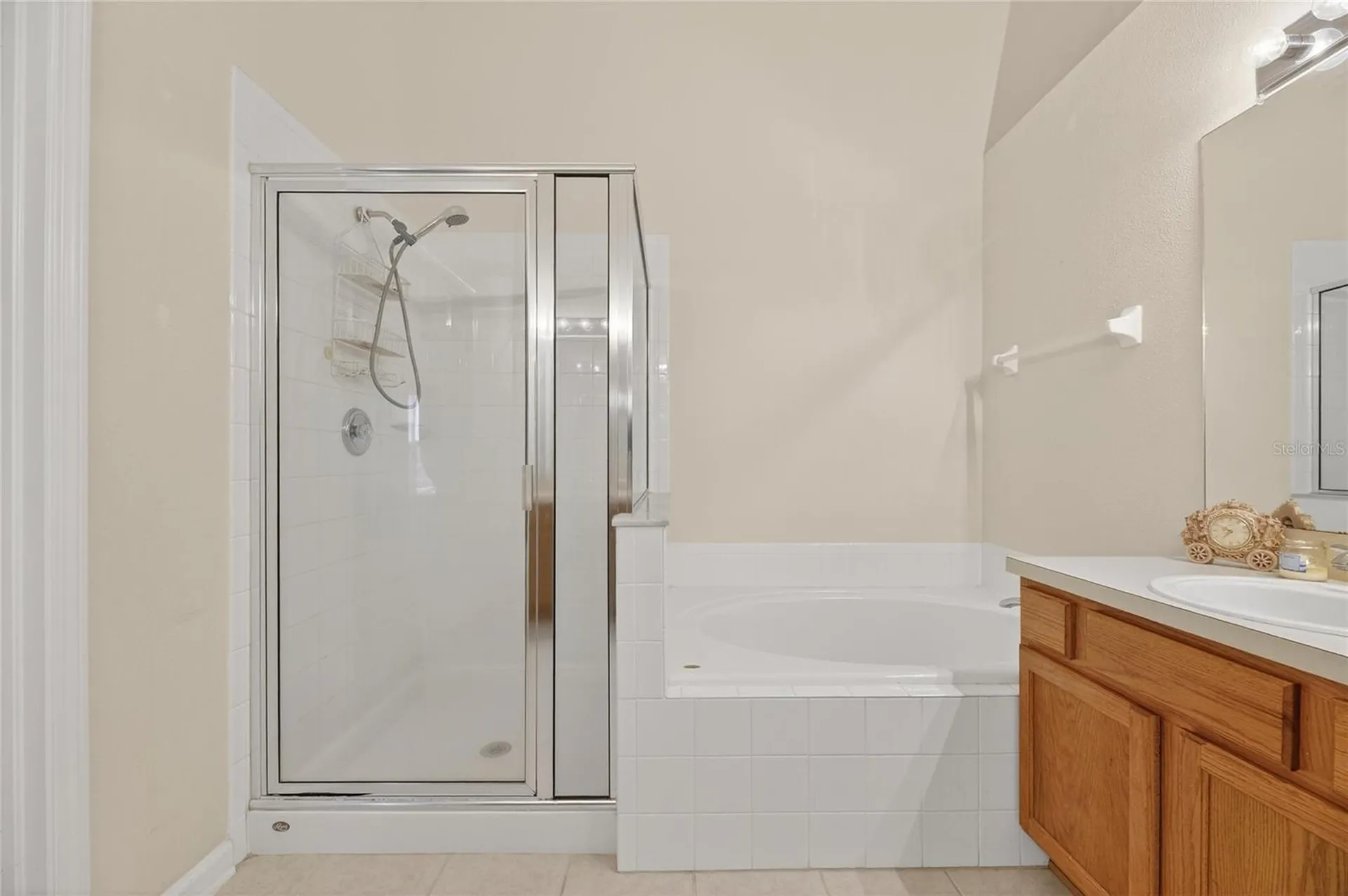 13307 Amber Sky Place Riverview FL 33579