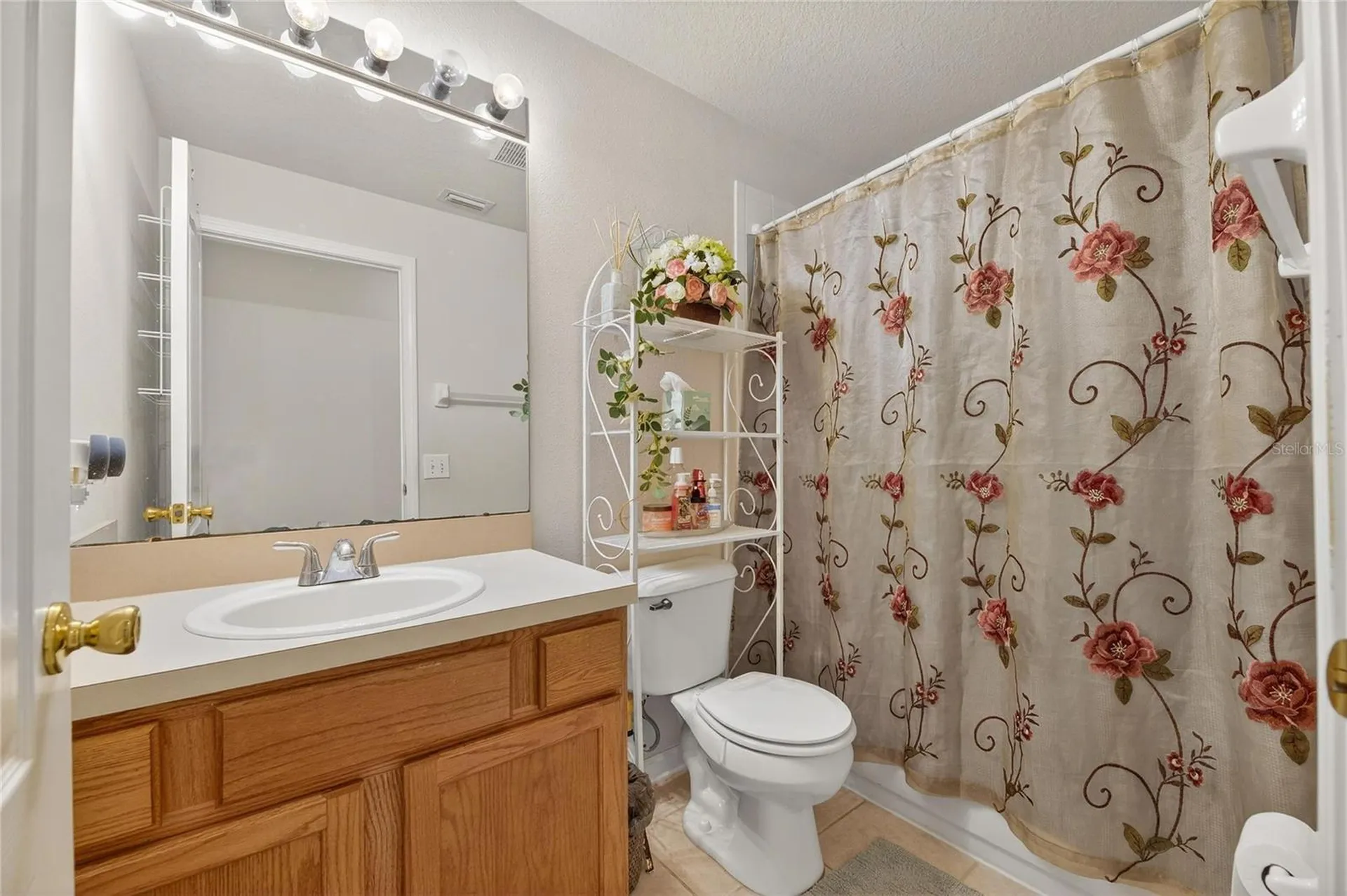 13307 Amber Sky Place Riverview FL 33579