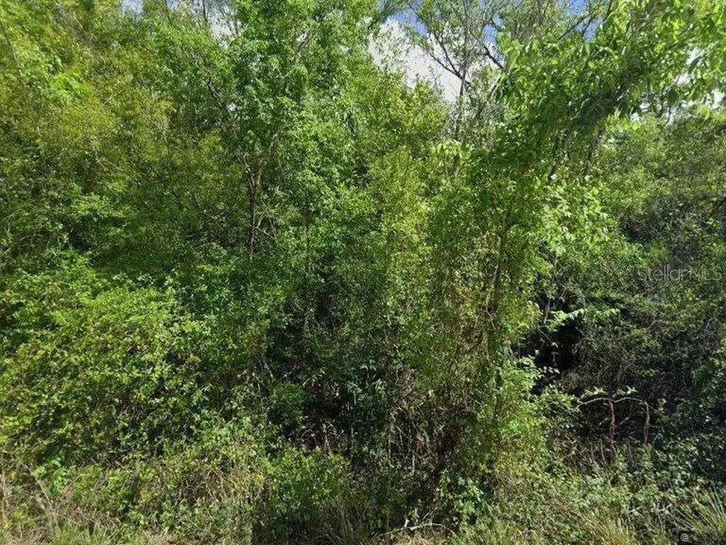 8115 SW Horse Creek Road Arcadia FL 34266