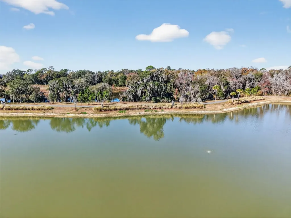 4138 Burgess Drive The Villages FL 32163