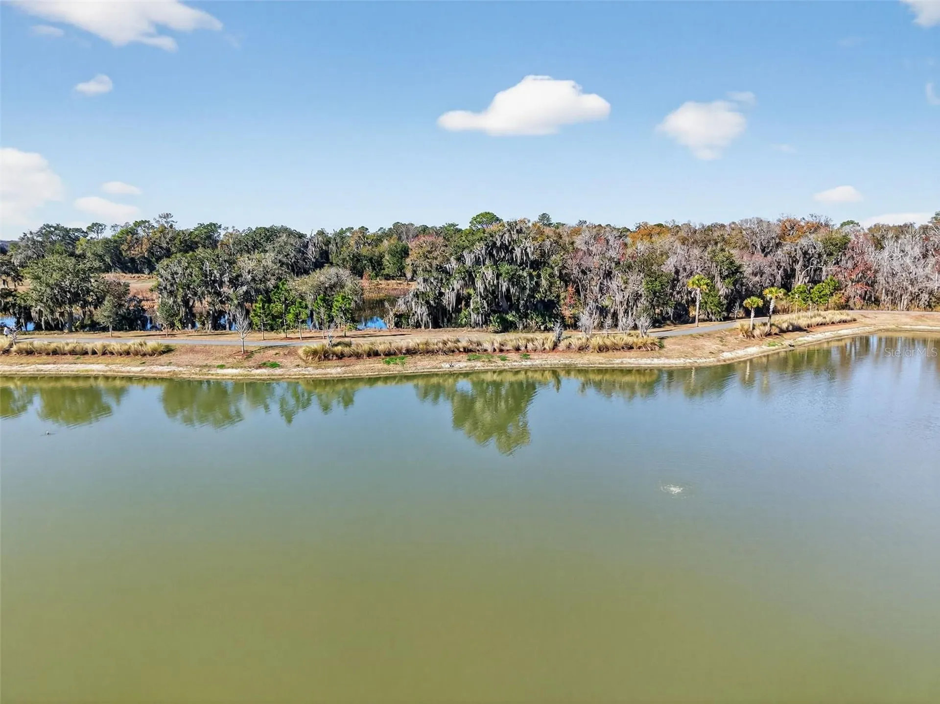 4138 Burgess Drive The Villages FL 32163