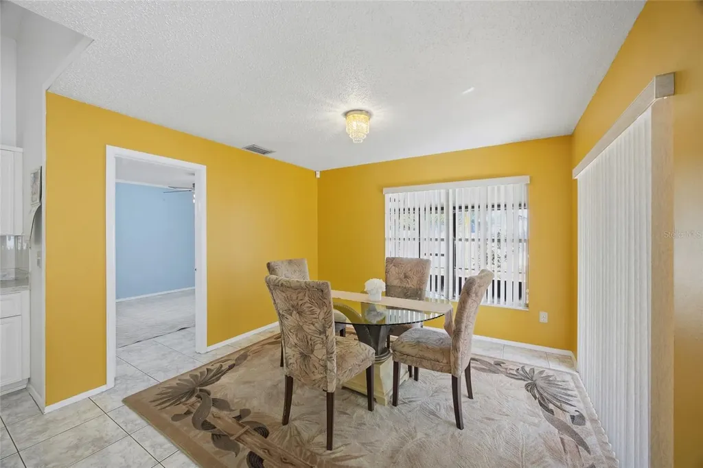 5903 Birchwood Drive Tampa FL 33625