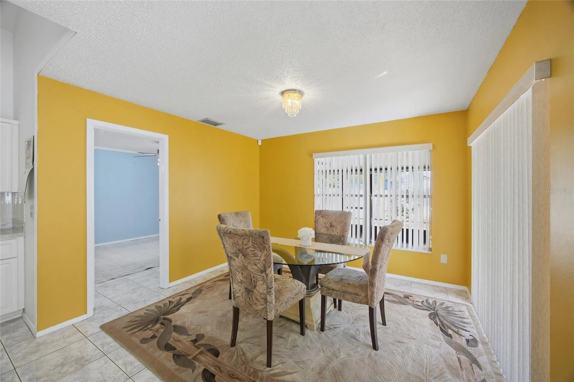 5903 Birchwood Drive Tampa FL 33625