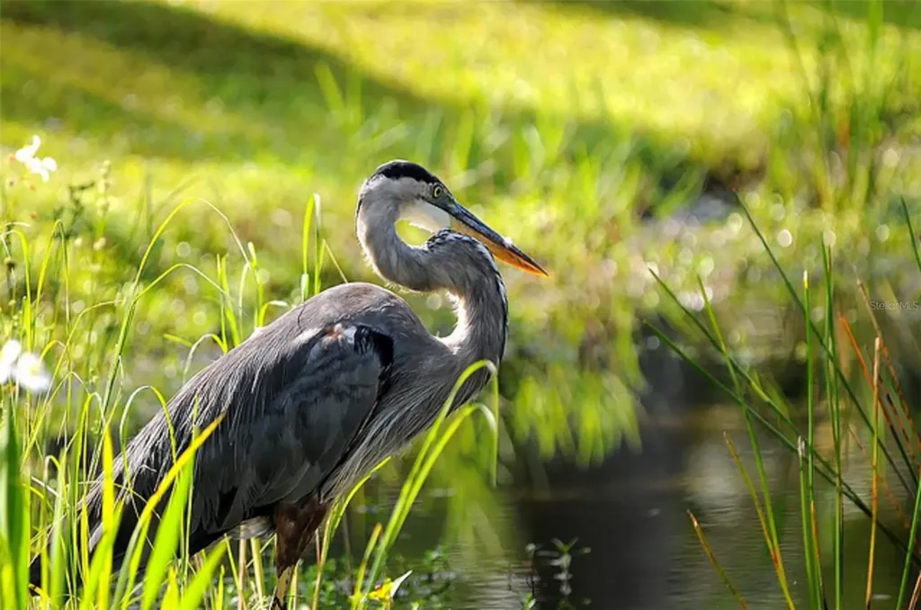 24406 Nicobar Lane Punta Gorda FL 33955