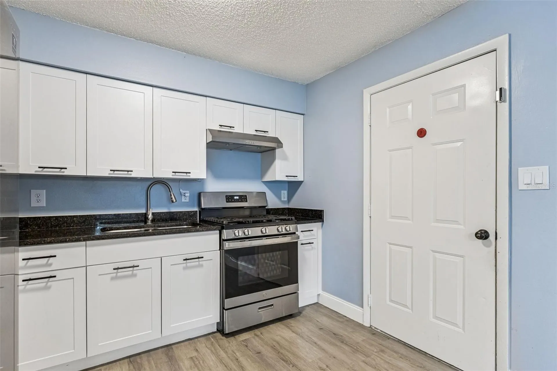690 E Jackson Avenue Mount Dora FL 32757