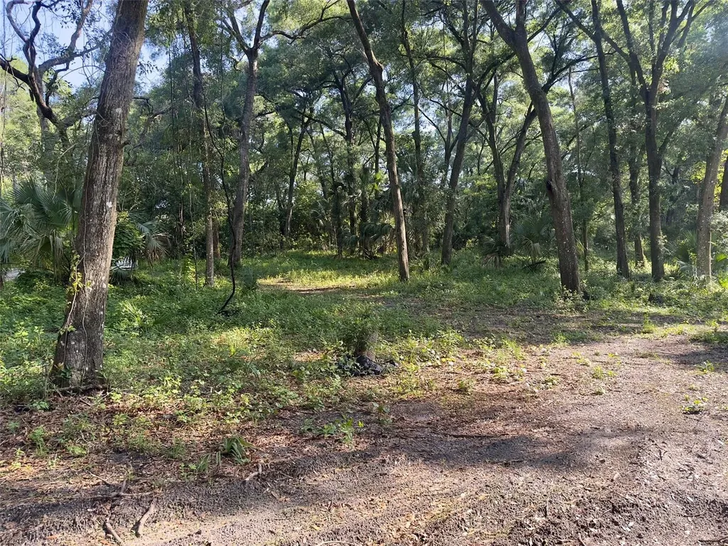 2265 Crooked Deland FL 32720