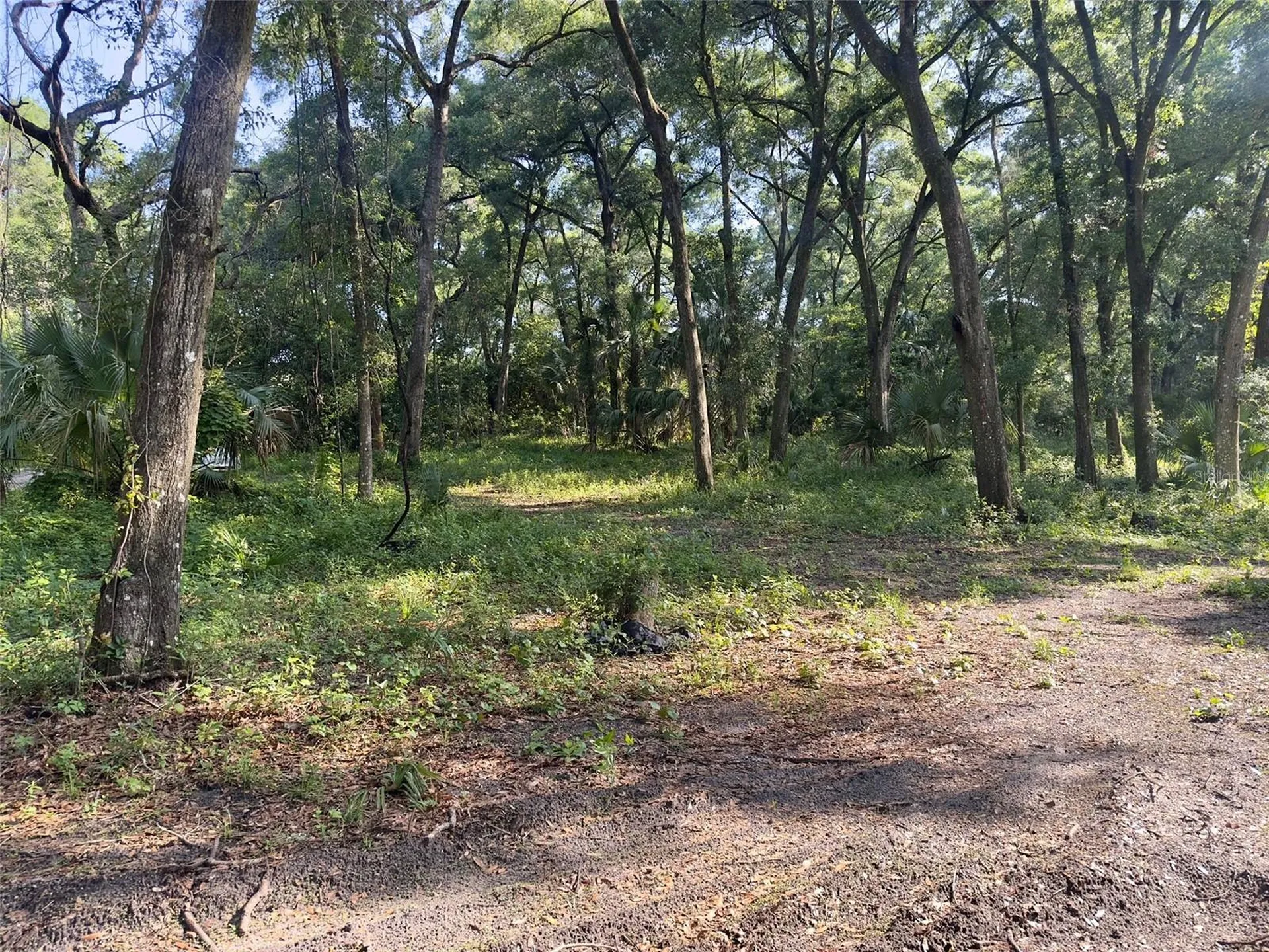 2265 Crooked Deland FL 32720