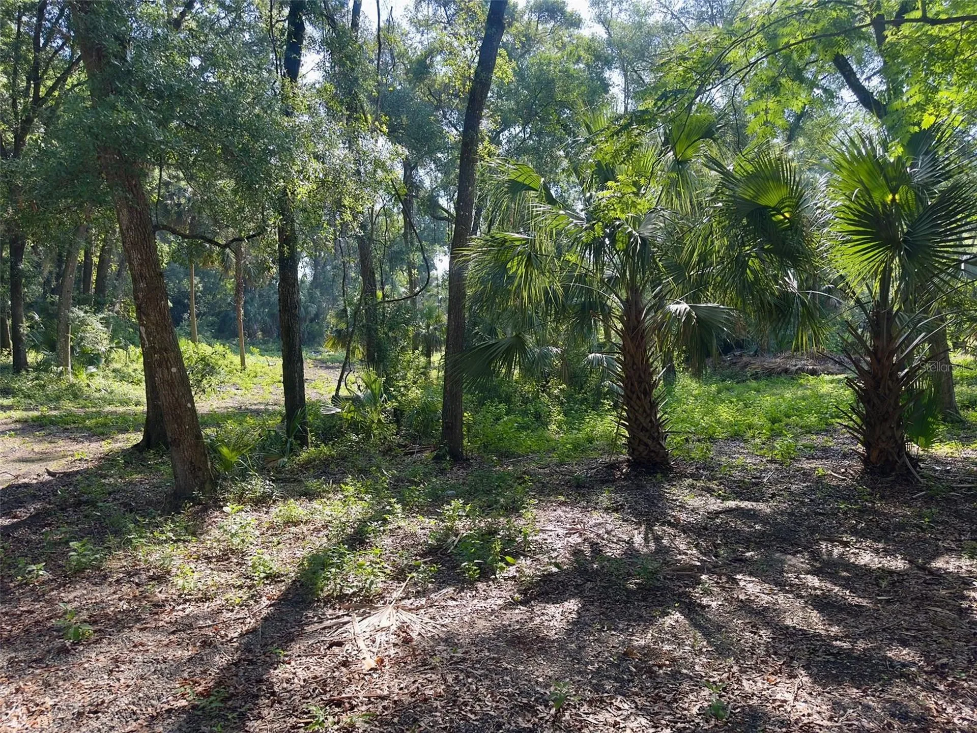 2265 Crooked Deland FL 32720