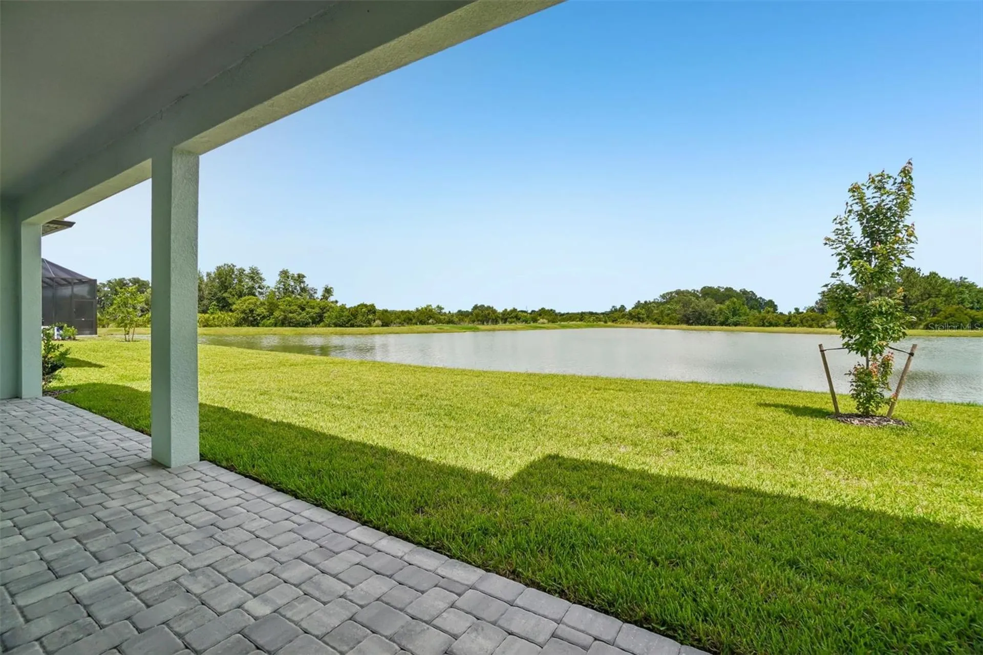 6926 Gilly Shadow Street Wesley Chapel FL 33545