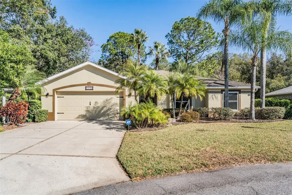 10133 Collar Drive San Antonio FL 33576