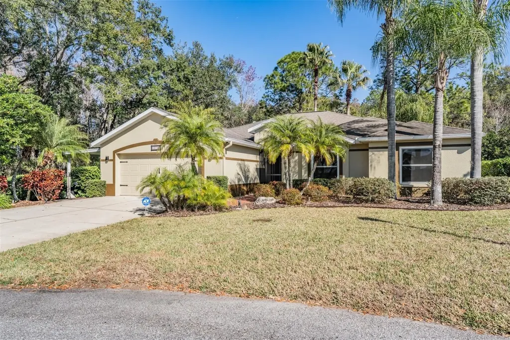 10133 Collar Drive San Antonio FL 33576