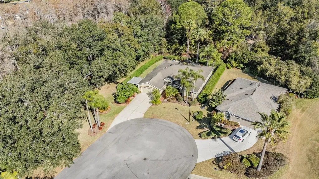 10133 Collar Drive San Antonio FL 33576