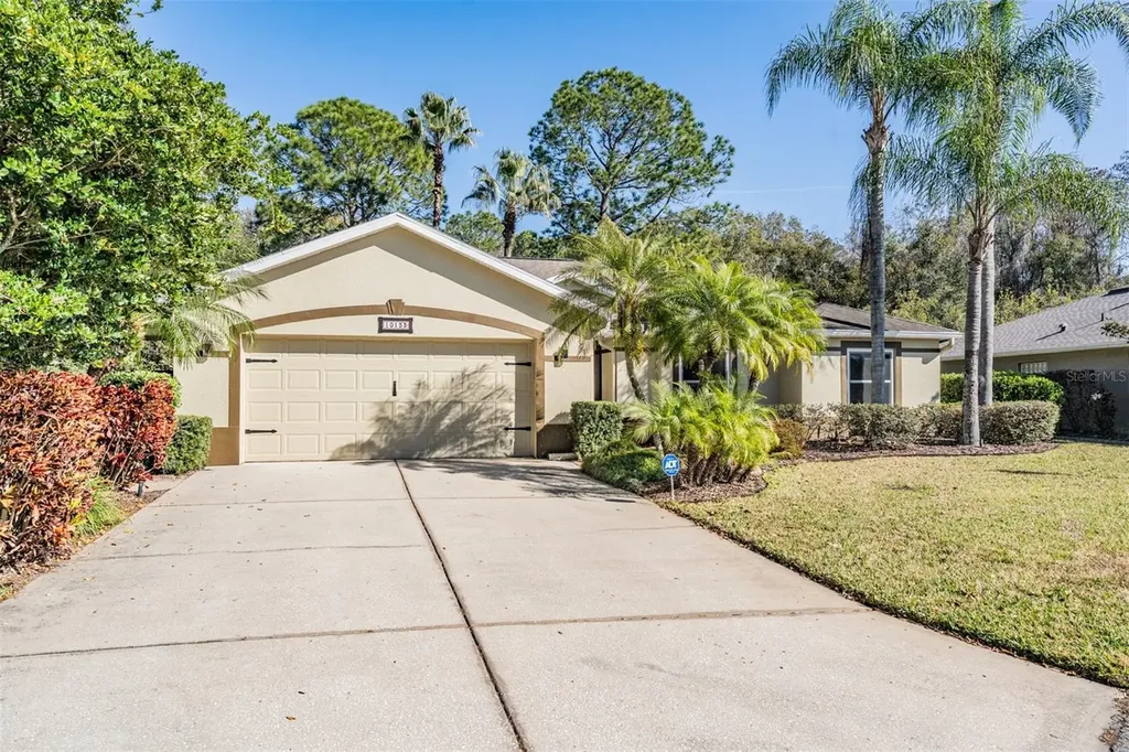 10133 Collar Drive San Antonio FL 33576