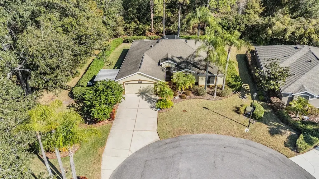 10133 Collar Drive San Antonio FL 33576