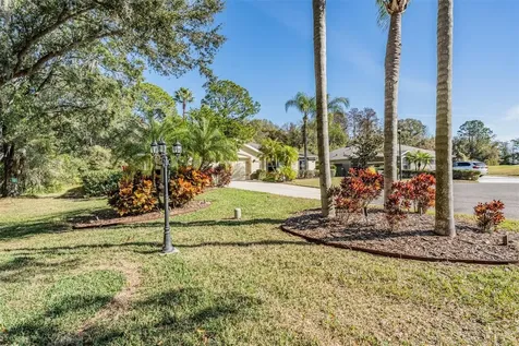 10133 Collar Drive San Antonio FL 33576