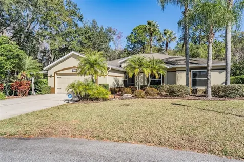 10133 Collar Drive San Antonio FL 33576