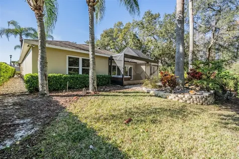 10133 Collar Drive San Antonio FL 33576