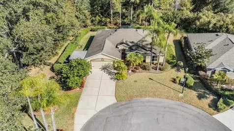 10133 Collar Drive San Antonio FL 33576