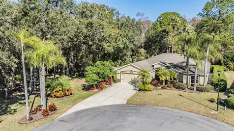 10133 Collar Drive San Antonio FL 33576