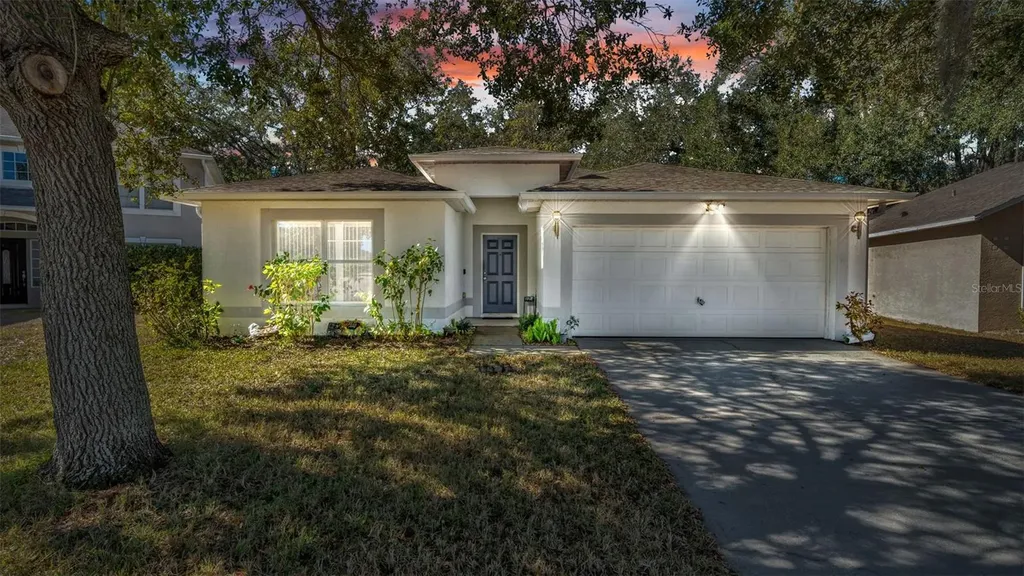 30244 Birdhouse Drive Wesley Chapel FL 33545