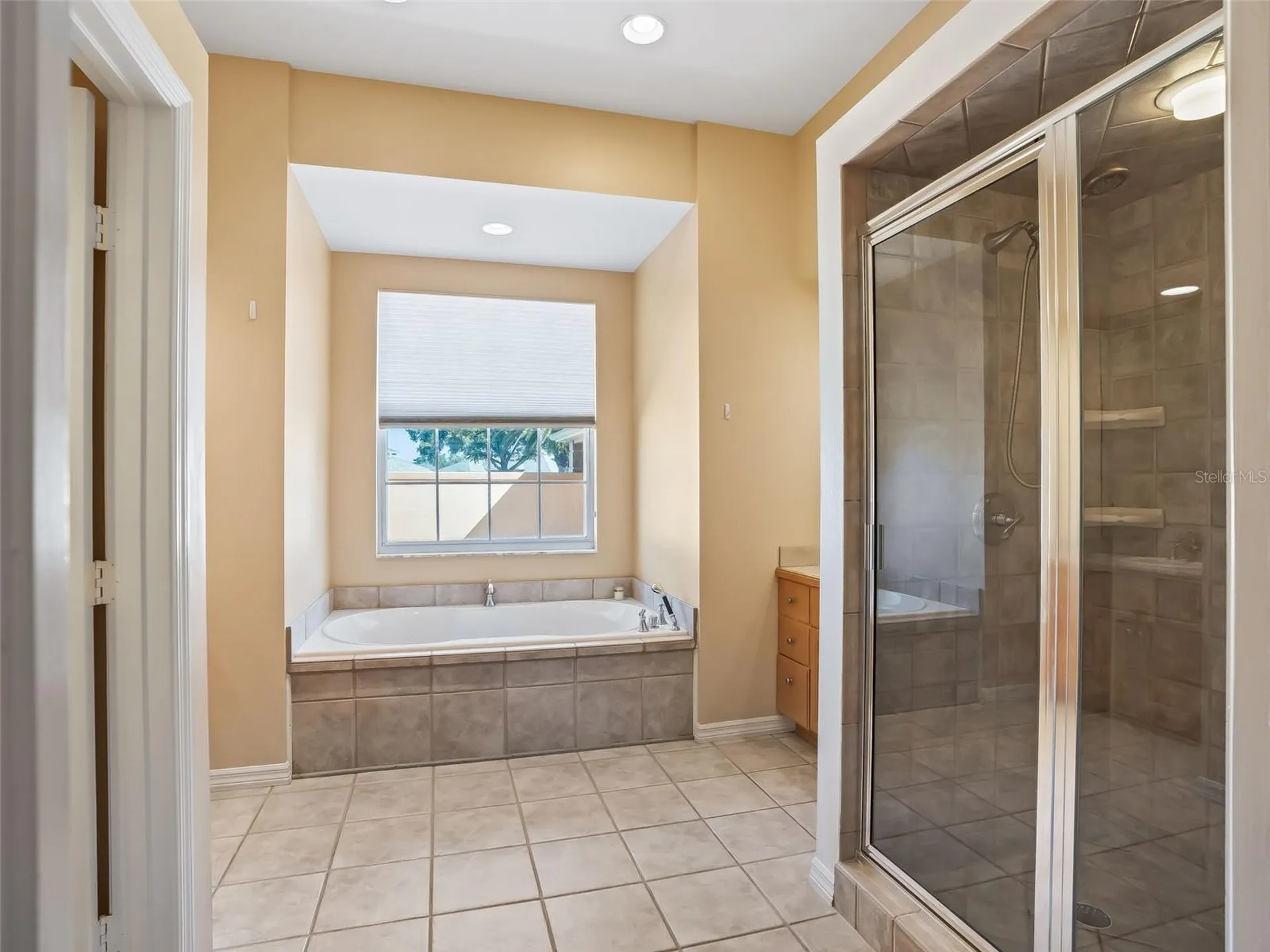 1412 Meadow View Way Lady Lake FL 32159