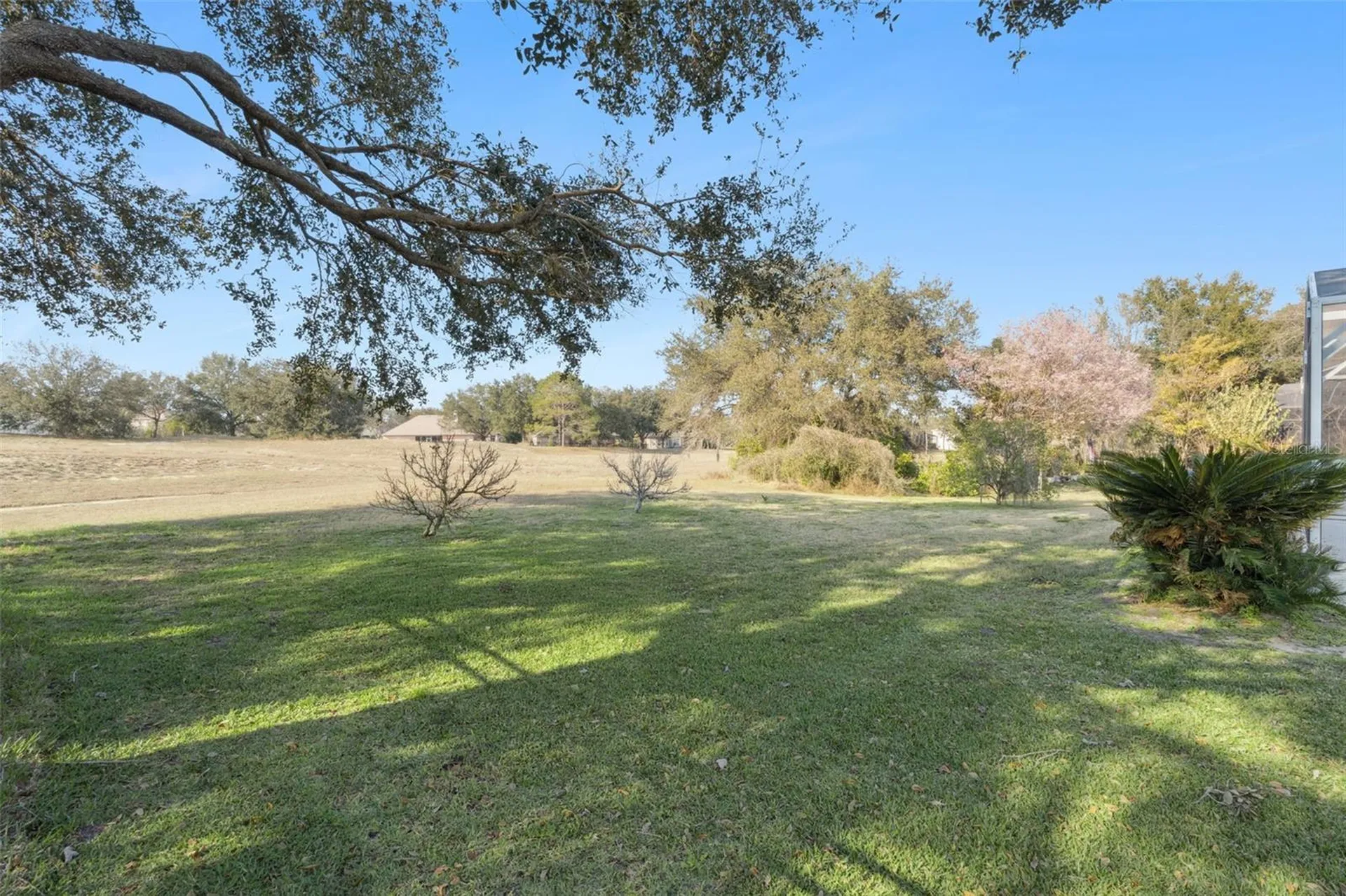 3652 Rochelle Lane Apopka FL 32712