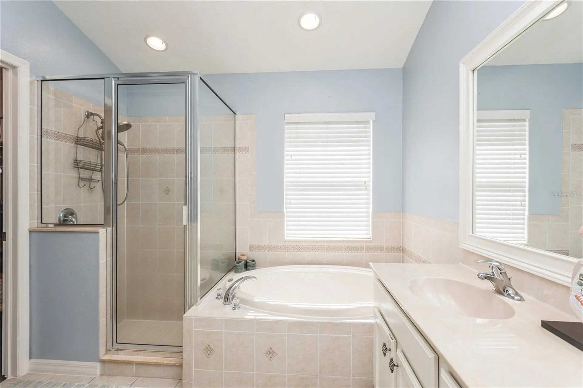 1433 Emerald Hill Way Valrico FL 33594