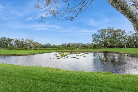 1433 Emerald Hill Way Valrico FL 33594