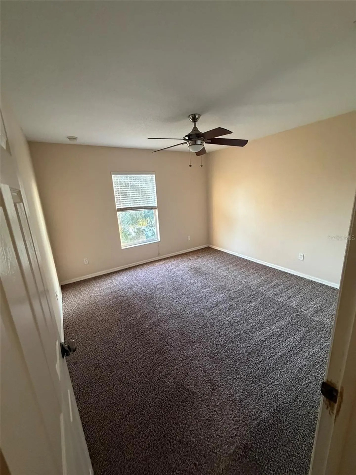 6224 Zane Drive Mount Dora FL 32757