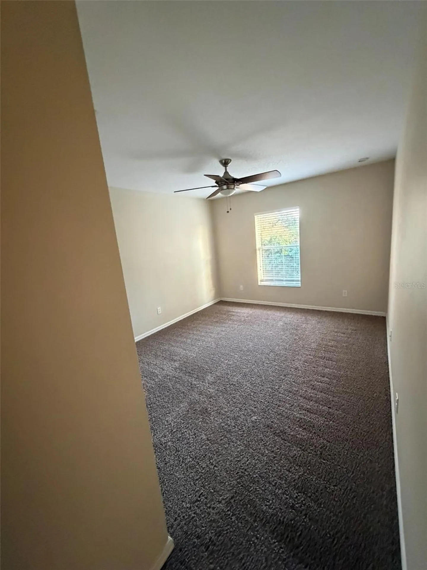 6224 Zane Drive Mount Dora FL 32757