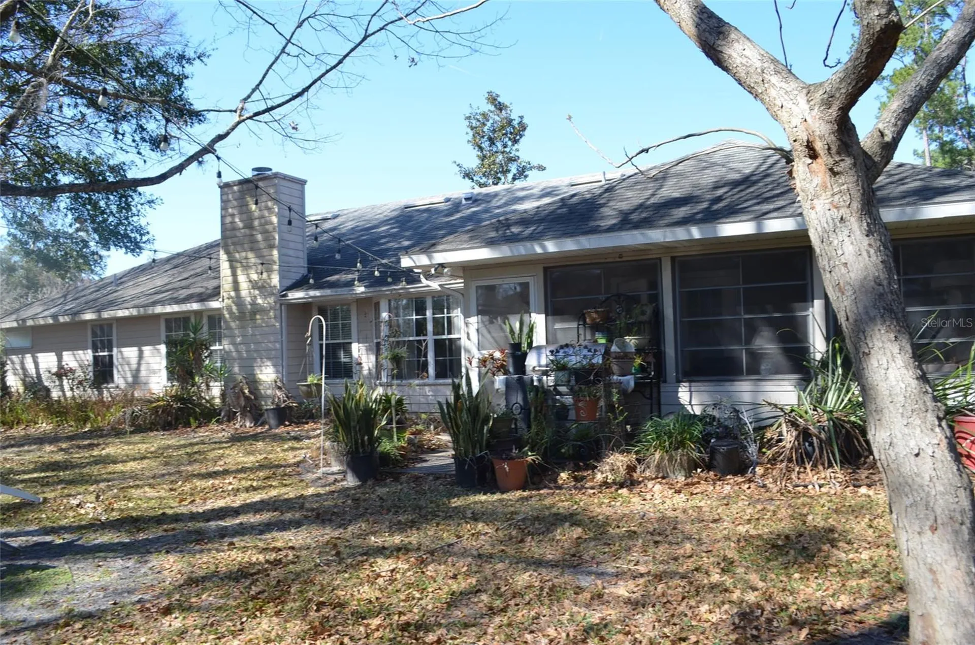 6123 NW 113th Place Alachua FL 32615