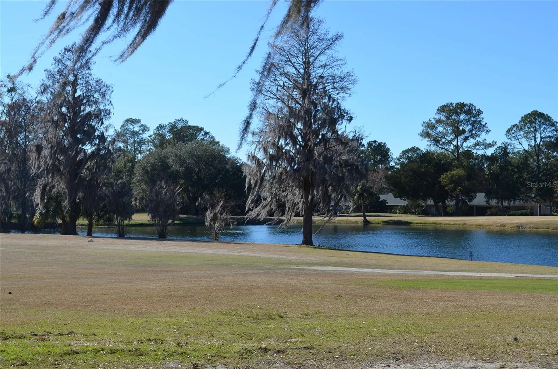 6123 NW 113th Place Alachua FL 32615