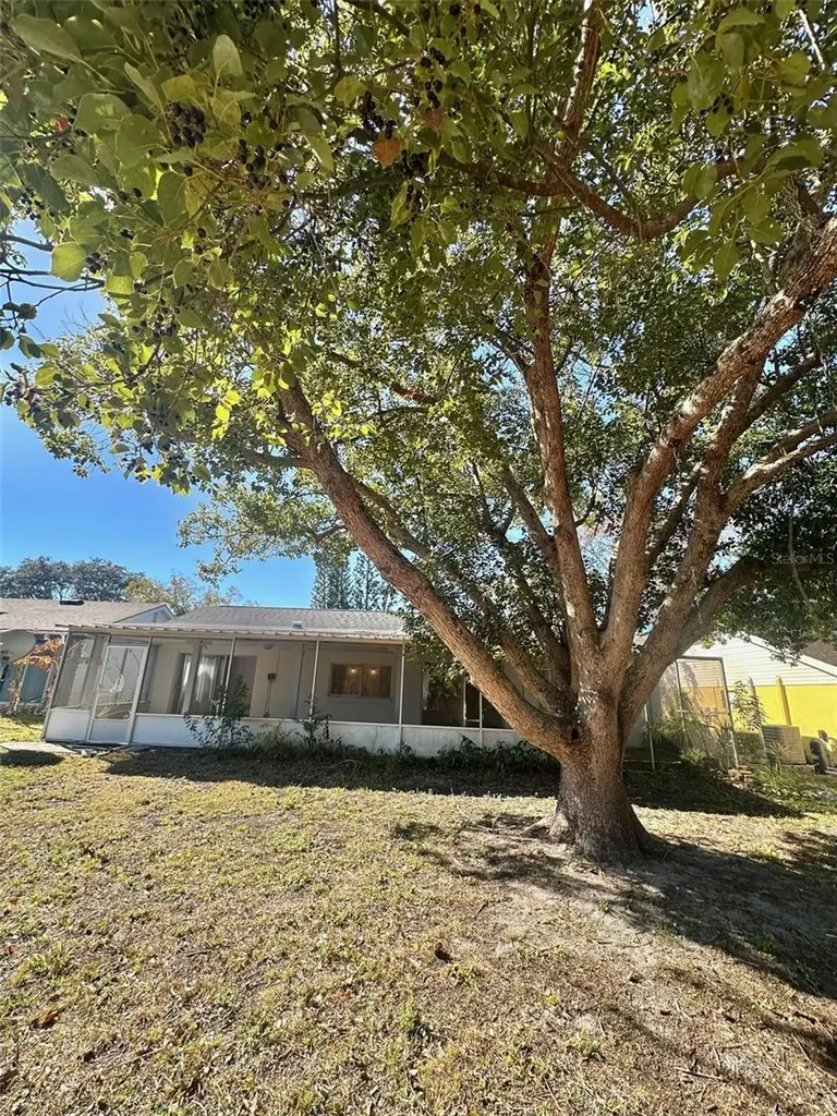 12406 Cobble Stone Drive Hudson FL 34667