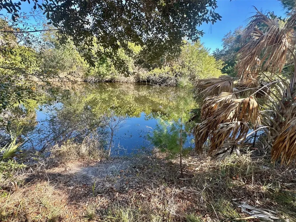 12406 Cobble Stone Drive Hudson FL 34667