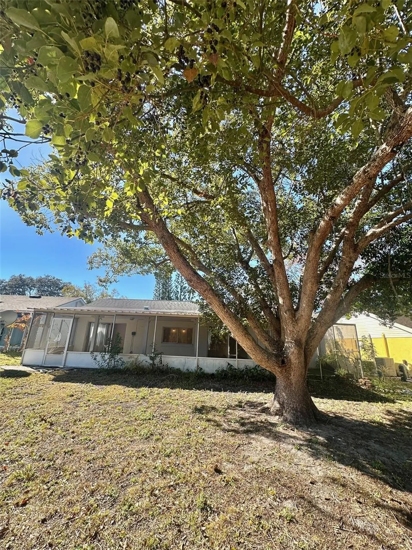 12406 Cobble Stone Drive Hudson FL 34667