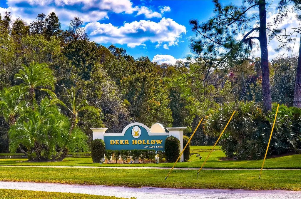 3161 Lake Pine Way S Tarpon Springs FL 34688
