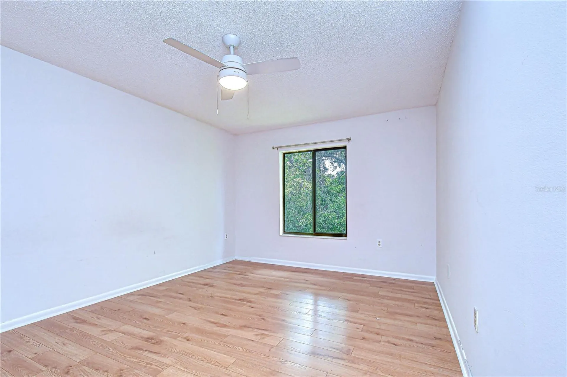 3161 Lake Pine Way S Tarpon Springs FL 34688