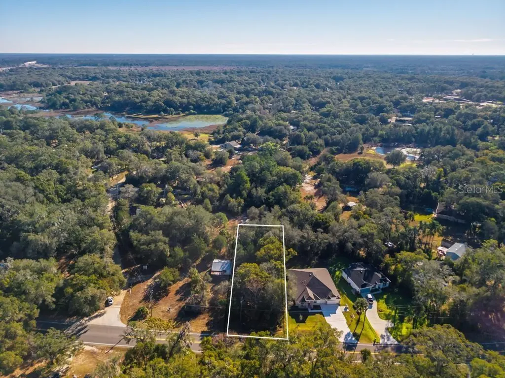 31060 Lochmore Circle Sorrento FL 32776